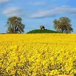 8409-ebeltoft-mimosavej-1-1-sal *